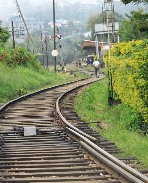 treni